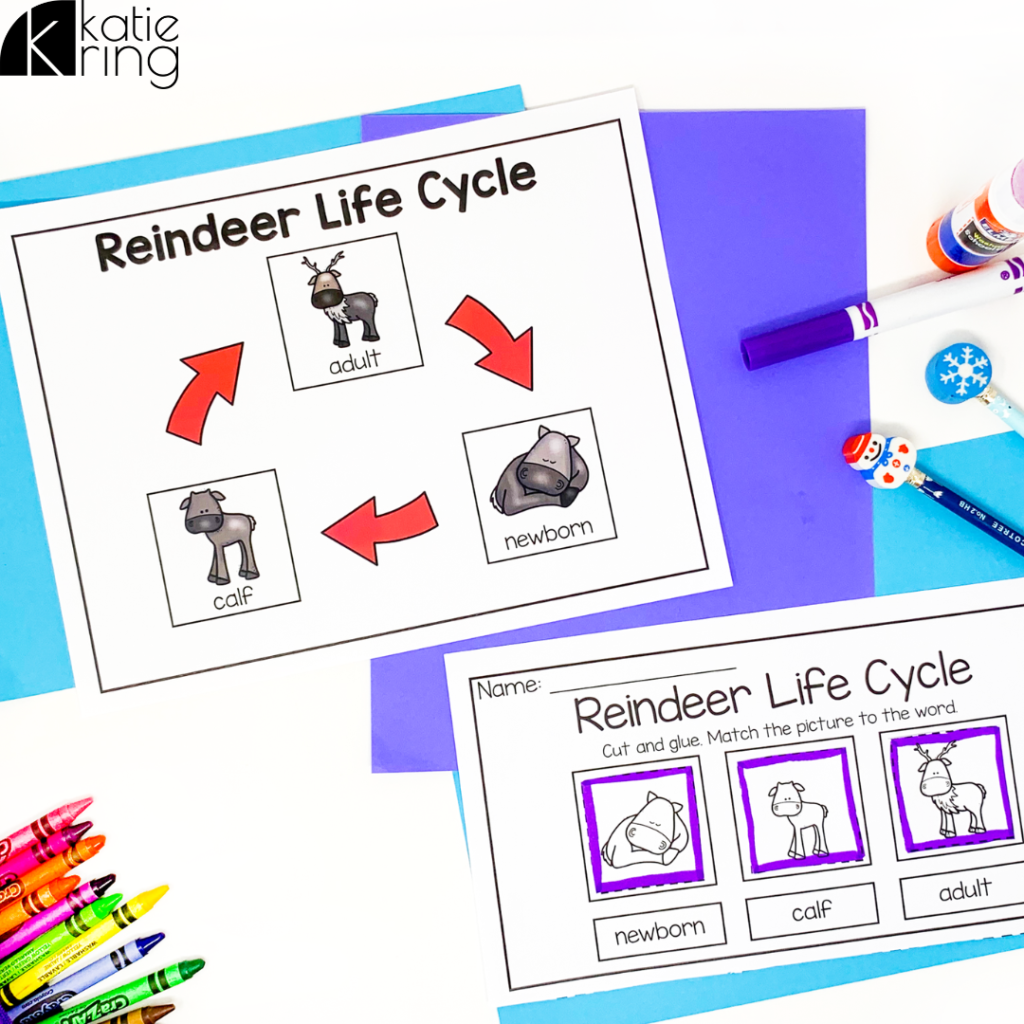 Add these fun reindeer life cycle December activities to your plans this month for fun non-fiction learning your kiddos will love.